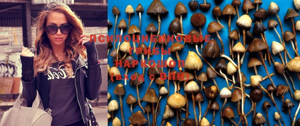 эйфоретик Протвино
