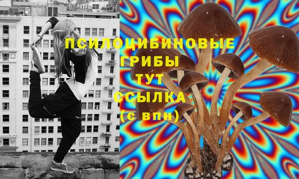 эйфоретик Протвино