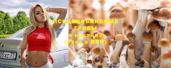 спайс Приозерск