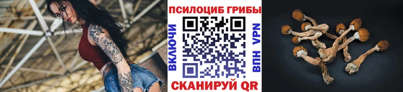 Купить где  Чадан  Псилоцибиновые грибы ЛСД 